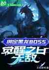 󶨺BOSS֮޵