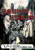 ɫҶݣǩʼС˵