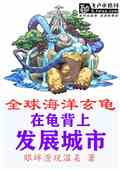 ȫ꣺ڹ걳ϷչС˵