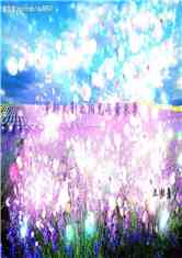 ԽӰ֮޹²