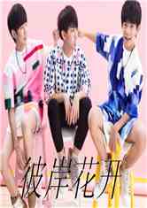 tfboys˰