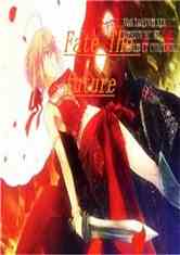 Fate/The future
