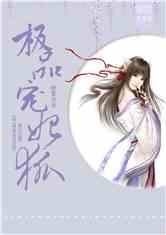 极品宠妃狐