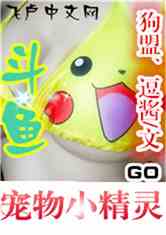 ֱ֮СGO