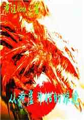 Դ鿪ʼ;