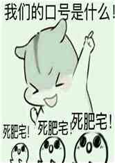 ӵ³ǿʼ޶