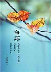 不要灯红酒绿 我要恋爱