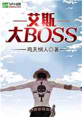 海贼之艾斯大BOSS