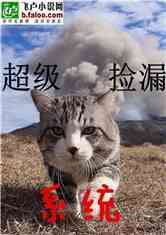 超级捡漏系统