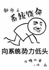 ֮ϵͳ
