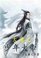 大唐之少年大帝