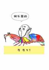 ȦƤƤϺ