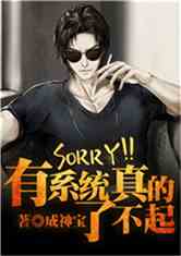 sorryϵͳ˲