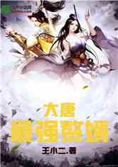 大唐最强赘婿