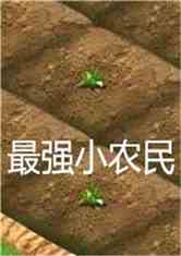 ģǿСũ