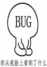 ҿˢBUG