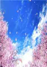 Һ˹ˮҶĿڽƣ