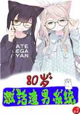 80꼤ϵͳ