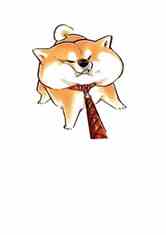 ߴ