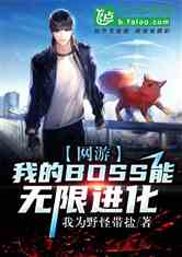 ΣҵBOSS޽