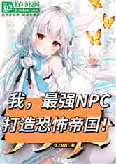 ңǿNPCֲ۹