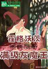 霍格沃茨：哈利表哥，满级灰巫师
