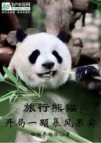 旅行熊猫：开局一颗暴风果实:安安的心事（二）
