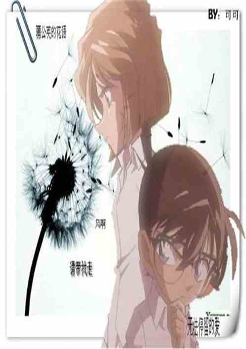 Detective Conan: Devil's Protection