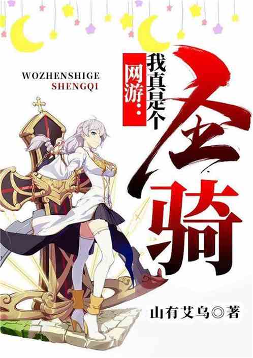 网游：我真是个圣骑