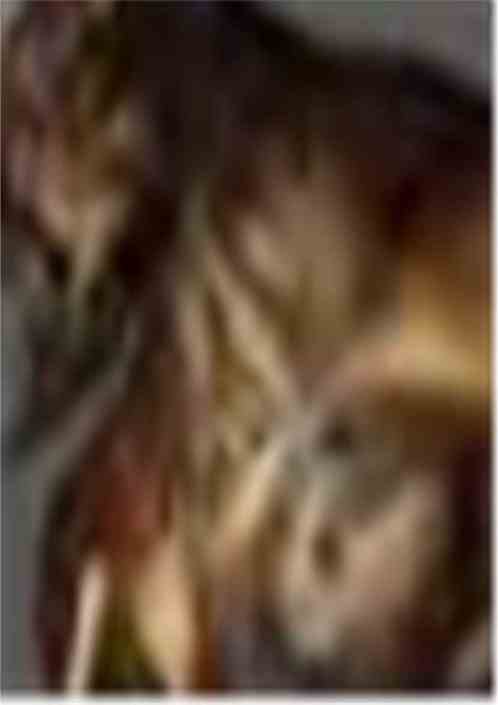 ĴԽ