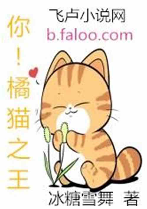㣡è֮