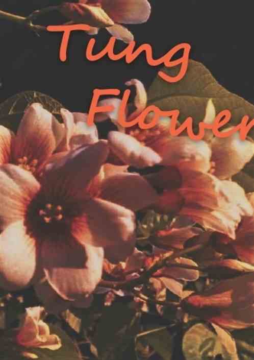 Tung Flower