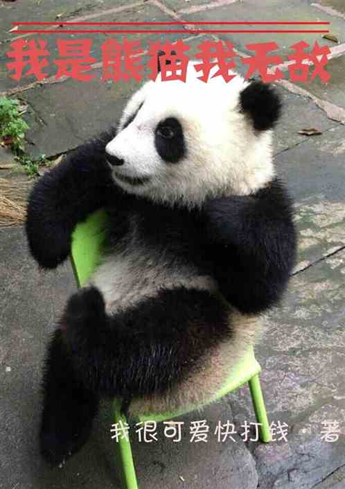 超能都市：我是熊猫我无敌