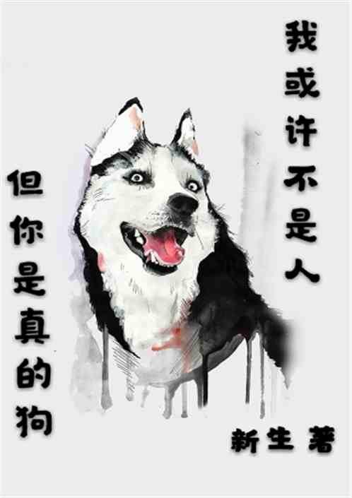 һ˵Ĺ