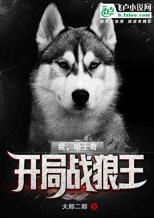 ңʿ棬ս