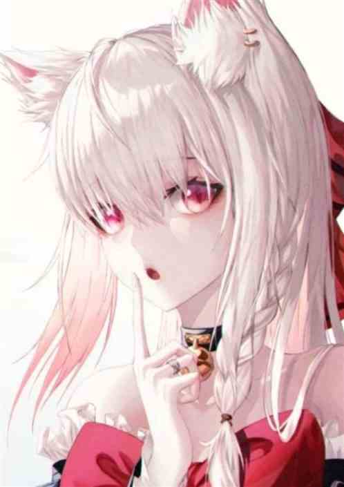 ȫ񽫾ҵĻ