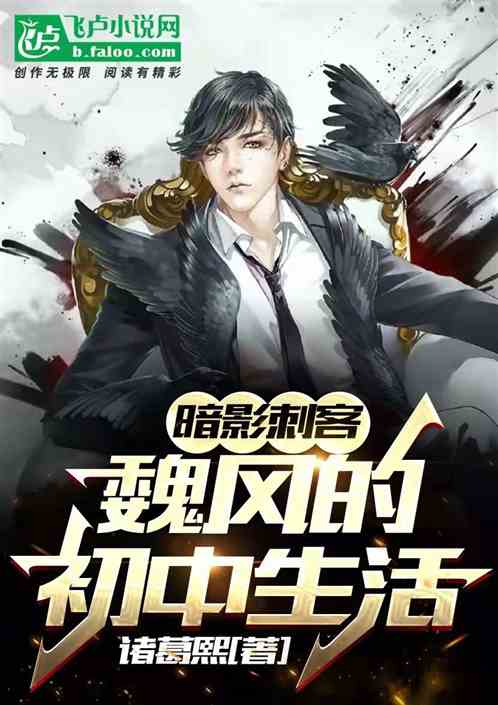 暗影刺客；魏风的初中生活