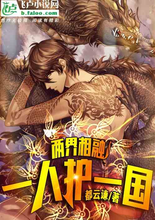 两界相融，一人护一国！
