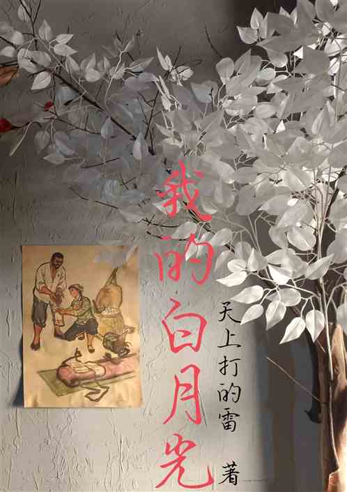 我的白月光