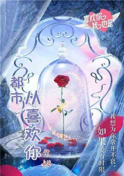 和杨老板分手，她闺蜜们坐不住了