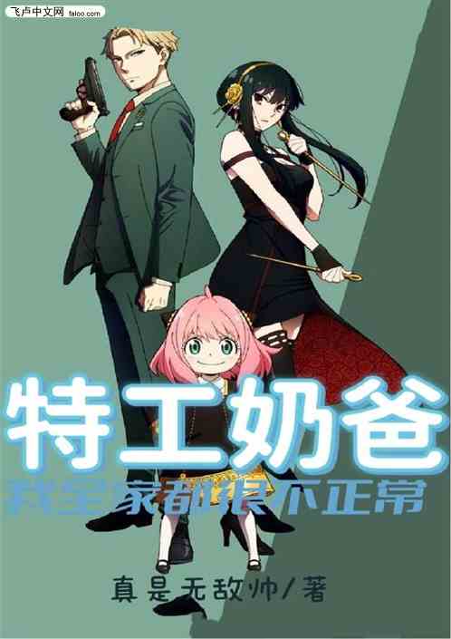 特工奶爸：我全家都不正常