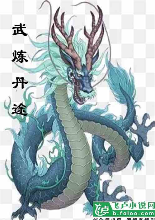武炼丹途