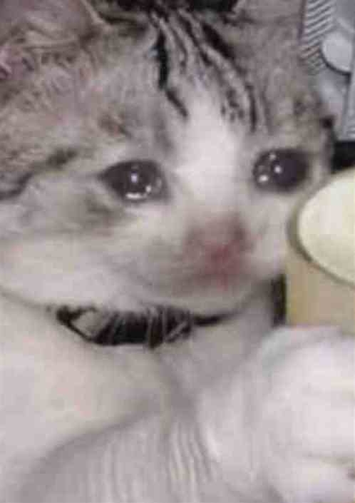 С˵ﵱĩ