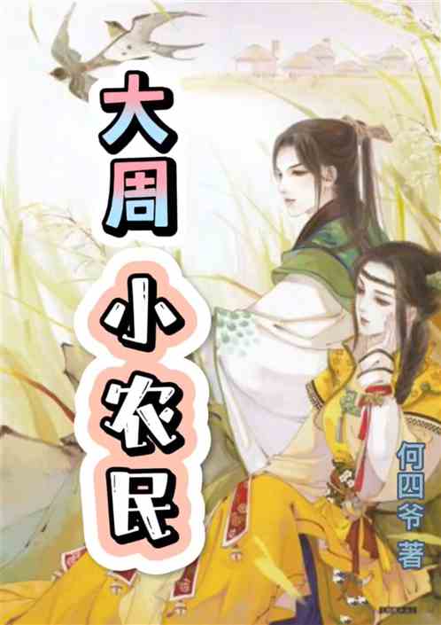 大周小农民
