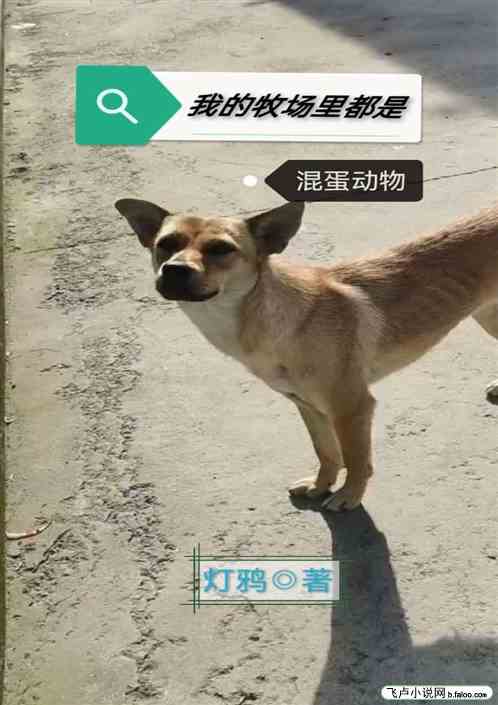 我的牧场里都是混蛋动物