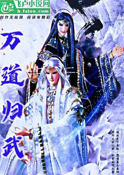 万道归武