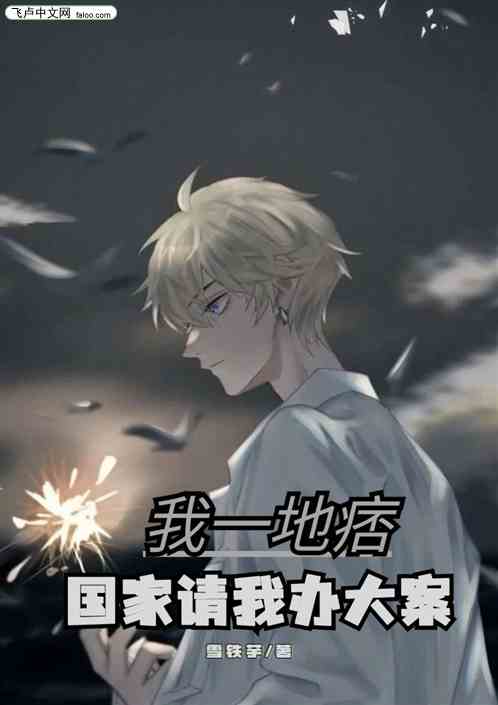 我一地痞，国家请我办大案