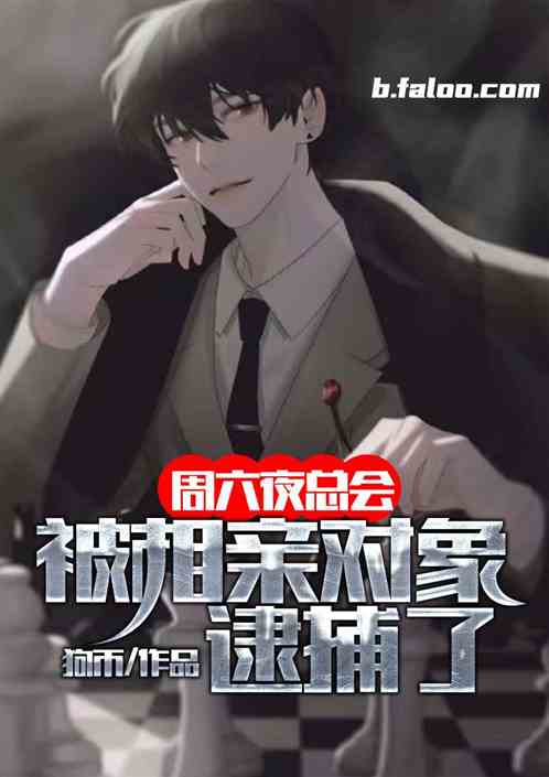 周六夜总会，我被相亲对象逮捕了