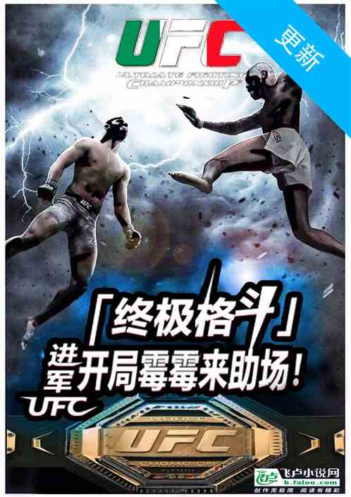 踢我出武林风，进军ufc金腰带