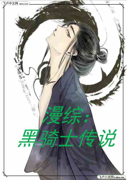 漫综之黑骑士